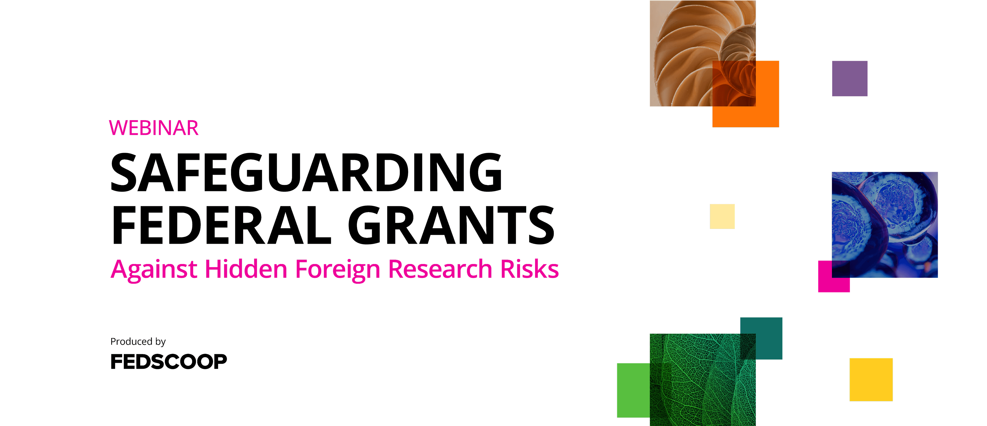 Webinar - Safeguarding Federal Grants Against Hidden Foreign Research Risks